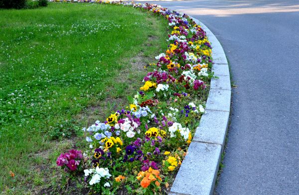 Flower Garden Edging Install - Flower Garden Edging Install Folsom, California