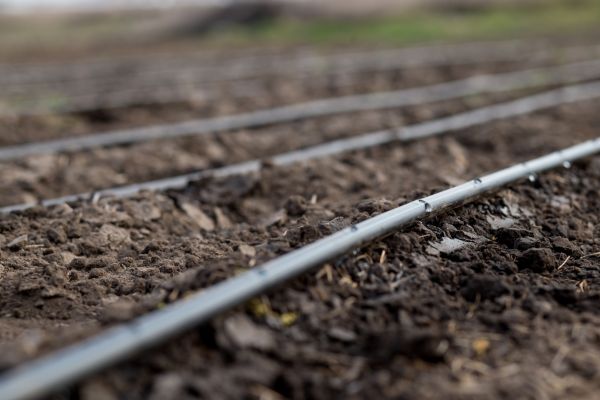 Commercial Irrigation Service
