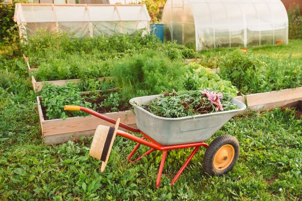 Garden Bed Cleanup - Garden Bed Cleanup Glendale, Arizona