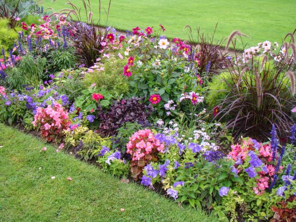 Floral Bed Maintenance - Floral Bed Maintenance Olive Branch, Mississippi