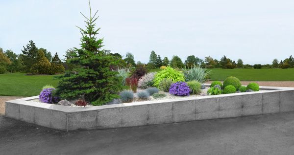 Backyard Landscape Curbing - Backyard Landscape Curbing Douglas County, Colorado