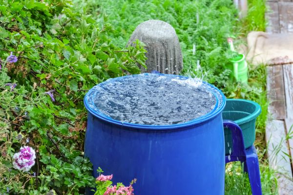 Backyard Groundwater Control
