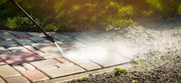 Ditch Leaf Removal