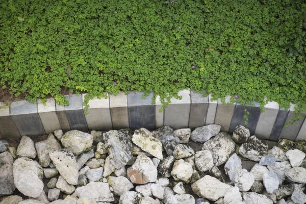 Backyard Lawn Curbing - Backyard Lawn Curbing Manteca, California