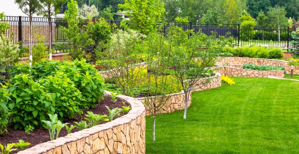 Yard Makeover Service - Yard Makeover Service Mckinney, Texas