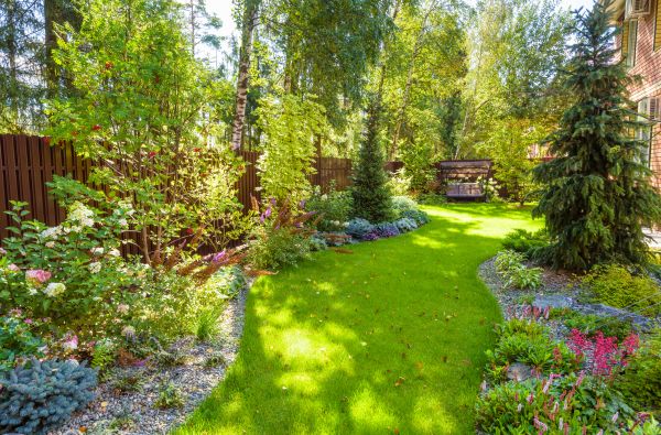 Arid Landscape Design