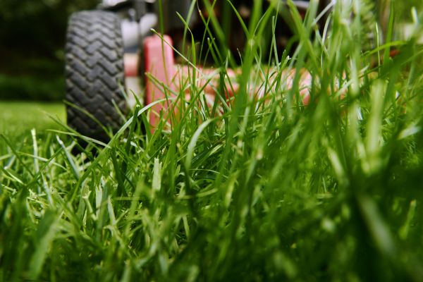 Acreage Mowing Service