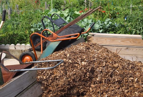 Large Quantity Mulch Delivery - Large Quantity Mulch Delivery Minneapolis, Minnesota