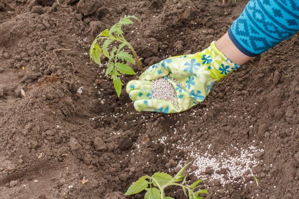 Plant Fertilizing Service - Plant Fertilizing Service Annapolis, Maryland