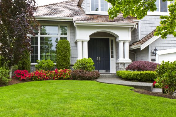 Home Yard Maintenance
