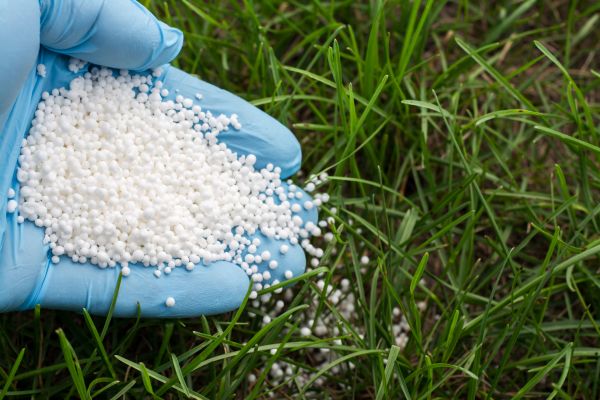 Grass Fertilization