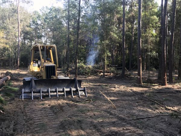 Brush Removal Service