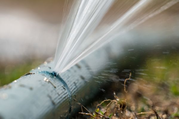 Drip Irrigation Repair