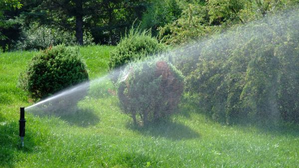 Commercial Sprinkler Repair