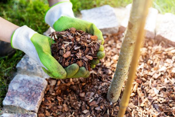 Bark Spreading