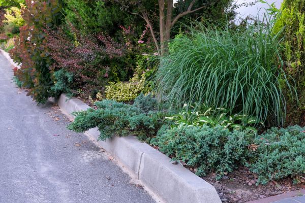 Garden Border Pouring - Garden Border Pouring Oak Ridge, Tennessee