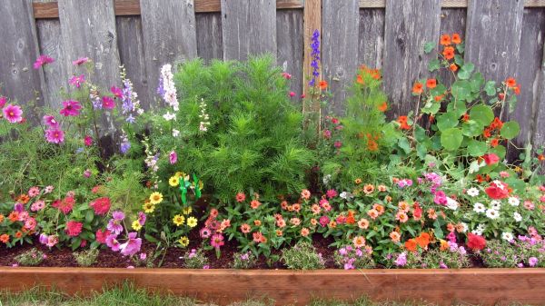 Raised Planter Box Service - Raised Planter Box Service Grapevine, Texas