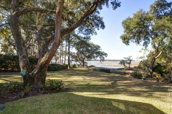 Lakefront Property Clearing - Lakefront Property Clearing Pompano Beach, Florida
