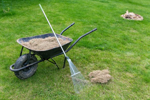 Grass Thatch Removal