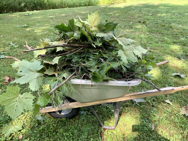 Fall Lawn Cleanup Service