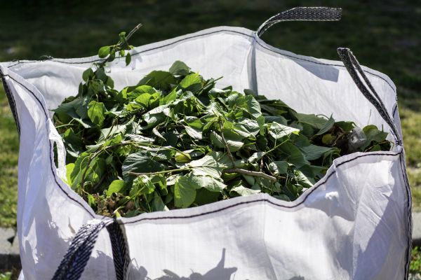 Fall Lawn Cleanup Service