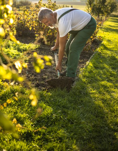 Garden Digging