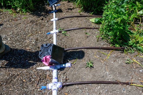 Commercial Irrigation Service