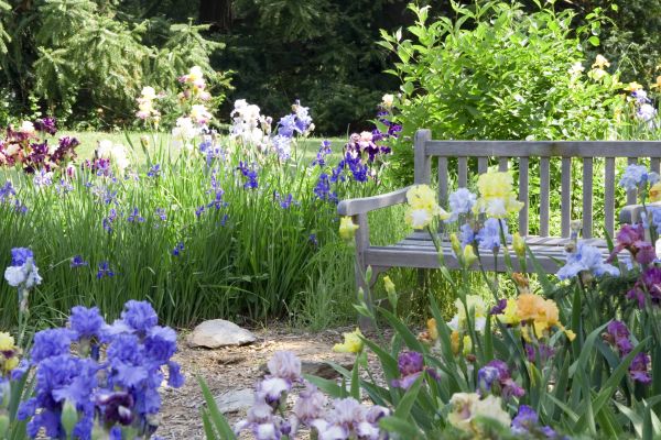 Flower Bed Planting