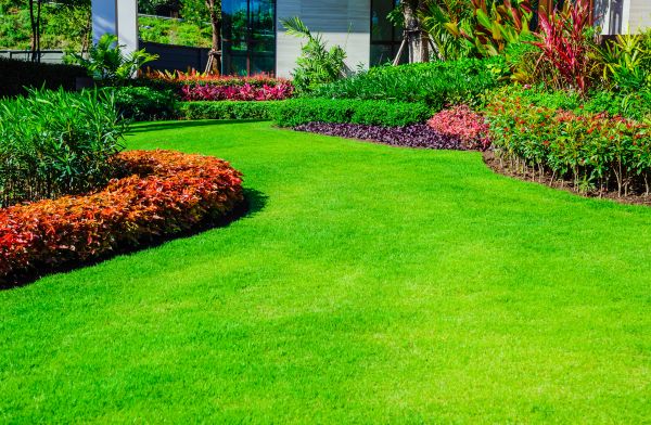 Front Yard Care