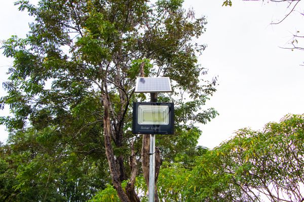Garden Lighting Installation