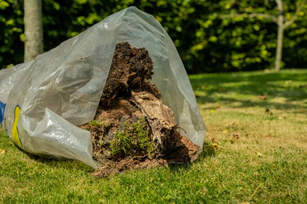 Yard Vegetation Removal