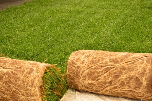 Bahia Sod Installation