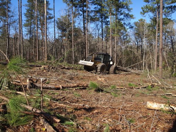 Log Clearing