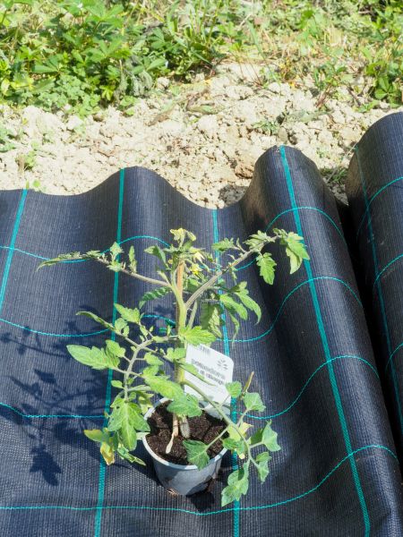Weed Suppression Installation - Weed Suppression Installation Verona, Wisconsin