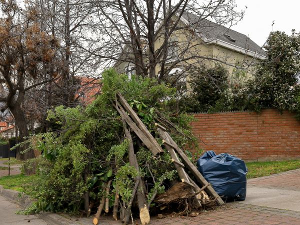 Yard Debris Removal Service - Yard Debris Removal Service Lady Lake, Florida