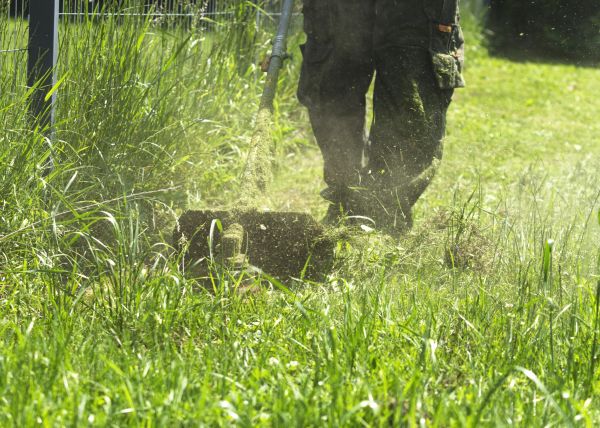 Brush Mowing Service - Brush Mowing Service Battle Creek, Michigan
