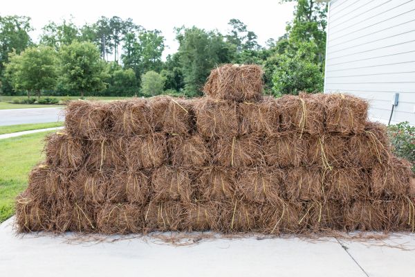 Pine Straw Delivery Service - Pine Straw Delivery Service Arroyo Grande, California