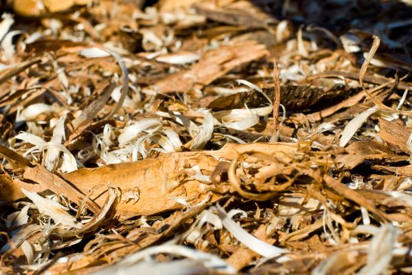 Bark Spreading