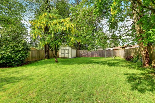 Boulder Landscaping