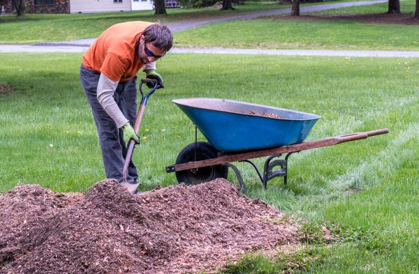 Wood Mulch Removal - Wood Mulch Removal Madison, Wisconsin