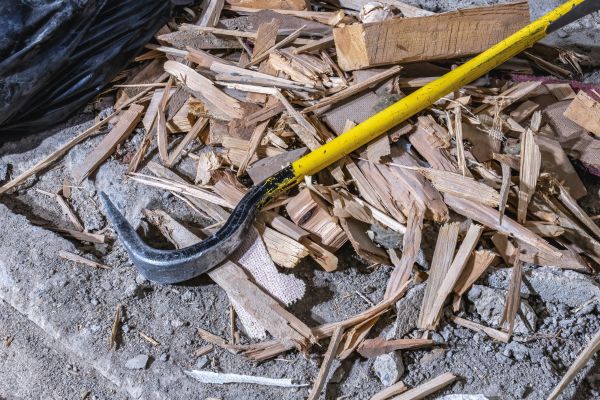 Leaves Clean Up