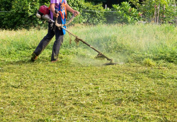 Slope Weed Control - Slope Weed Control Charlotte, North Carolina