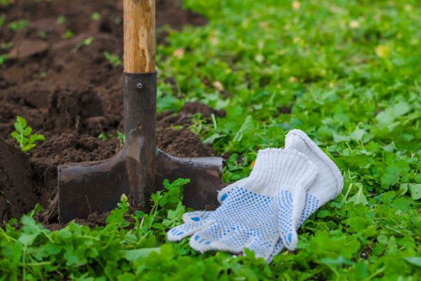Front Yard Soil Cultivation - Front Yard Soil Cultivation Lexington, Kentucky