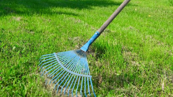 Front Yard Dethatching - Front Yard Dethatching Gwinnett County, Georgia