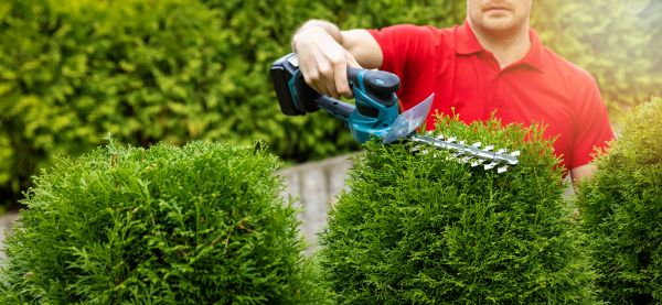 Emergency Tree Trimming