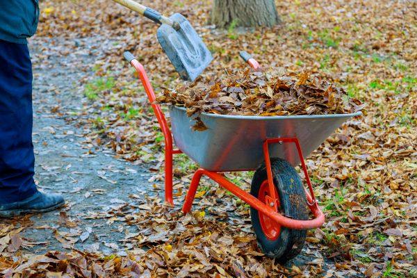Fall Lawn Cleanup Service