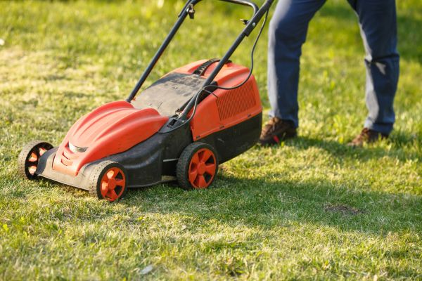 Front Lawn Mowing