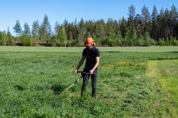 Front Lawn Mowing - Front Lawn Mowing Marysville, Washington