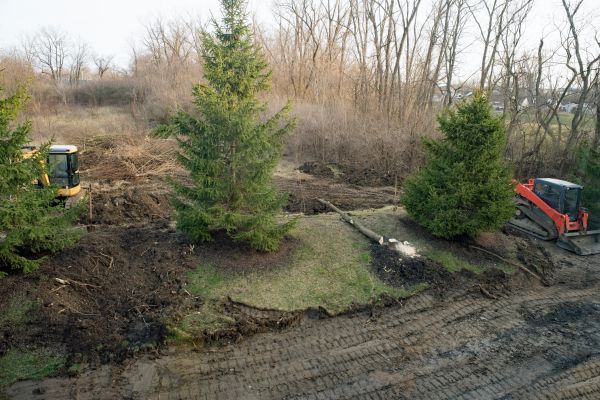 Backhoe Land Clearing