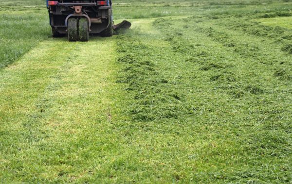 Acreage Mowing Service